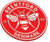 Brentford Denmark Flag  Pin Badge