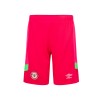 23/24  Brentford Junior GK Shorts