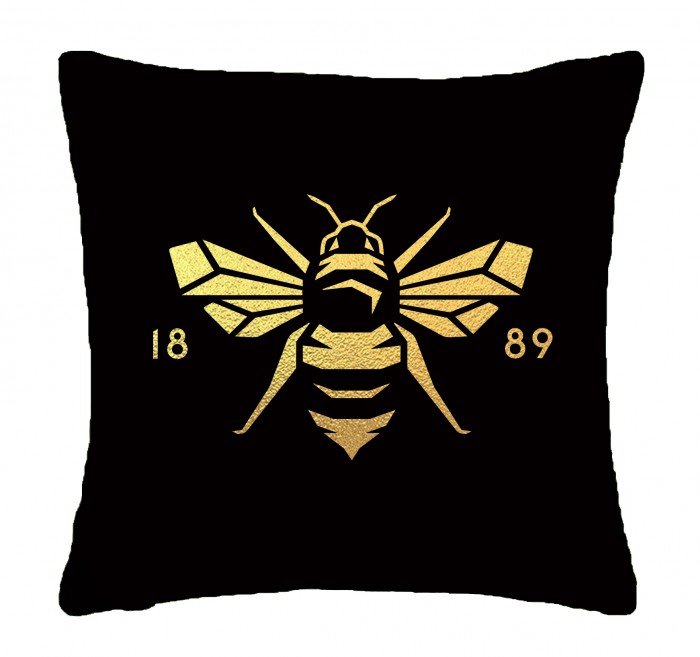 1889 Logo Pillow